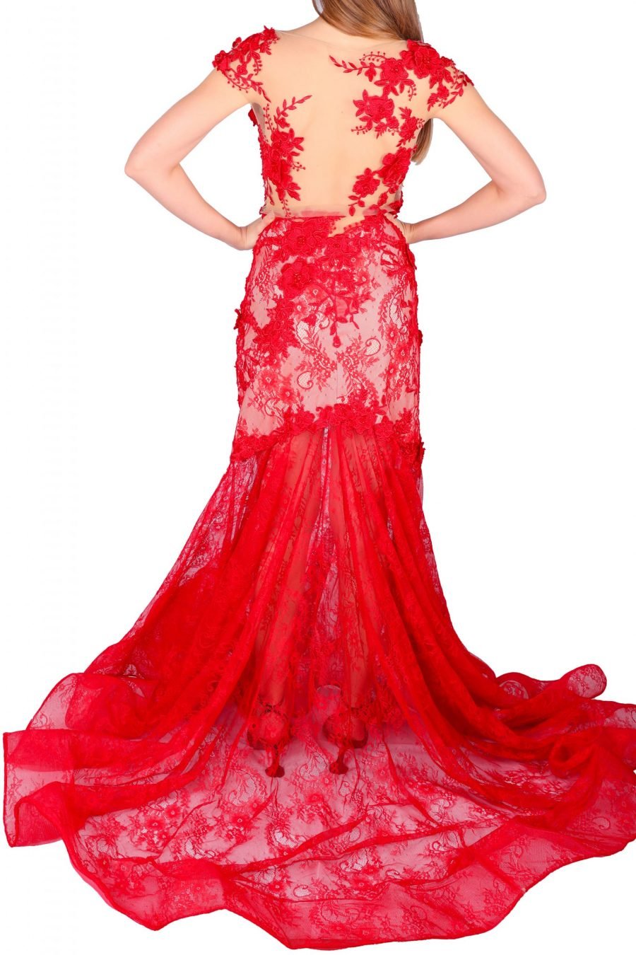 Mermaid illusion Flower Gown Dress - Image 4