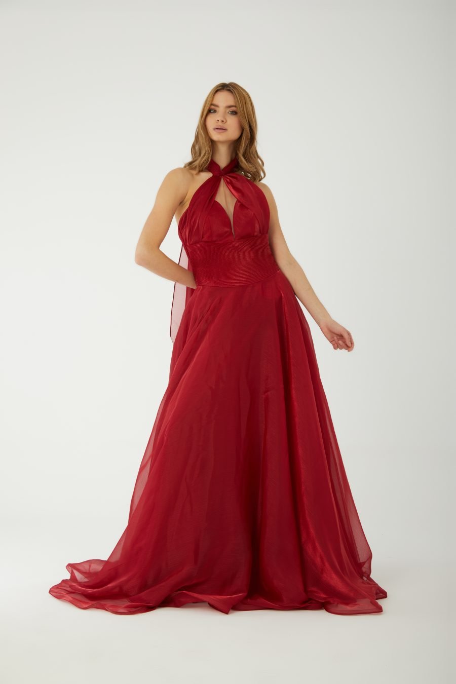 Halter Neckline Cross A-Line Evening Dress - Image 5